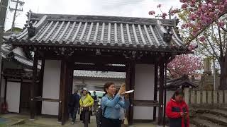 Mount Yoshinoyama, Nara, Japan