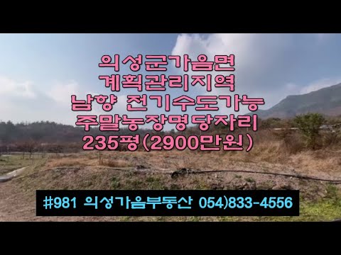 #981 의성가음부동산 5M도로접 큰차진입 마을근처 길위 남향 전망좋은 채전밭 235평 2900만 (당12.3만) 전기수도가능 건축가능 모든것 갖춘 명당자리!! #의성땅#주말농장