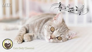 10 Hours of Calming Music for Cats (with cat purring sounds) - Relaxing Background Music