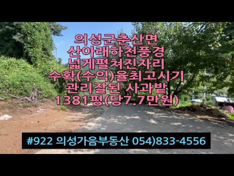 #922 의성가음부동산 언덕위 전망좋은 사과밭 9년생 수확많음 1381평 1.07억 (당7.7만원) 관리상태좋음 전기가능 물시설완비 귀농적합 #의성땅#의성과수원#전원생활