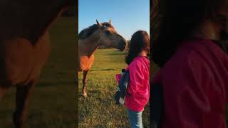 Horses Are Magical #timmcgraw #faithhill #horses #horsevideo #horseranch #countrylife #healing