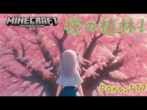 【Minecraft】Minecraftの日記！桜を植林したい！Part177【マイクラ】【1.21】【Java】