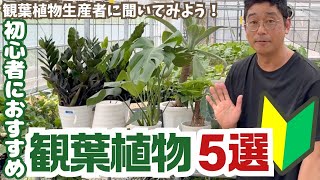 生産者に聞いてみよう！初心者におすすめ観葉植物５選🔰