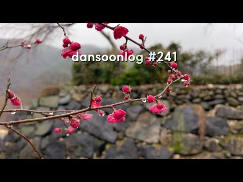 Winter rural life in Korea vlog 241) Repetitive daily life