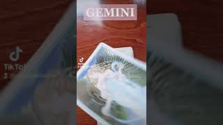 ♊ #GEMINI ✨ #tarot #tarotreading #tarotreader #dailytarot #dailytarotreading #taroteverydamnday