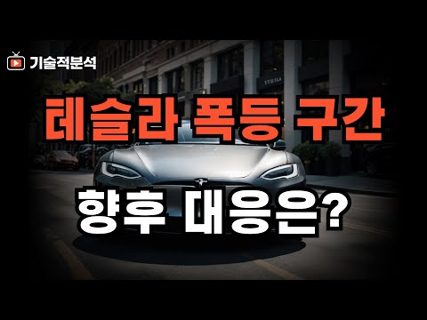 테슬라 폭등 엔비디아 주춤 흐름 적중 ｜향후 대응은 어떻게!? 확인하세요