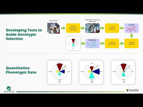 Human Computer Animal Interactions (HCAI) in Monitoring and Enhancing Welfare of Farm Animals