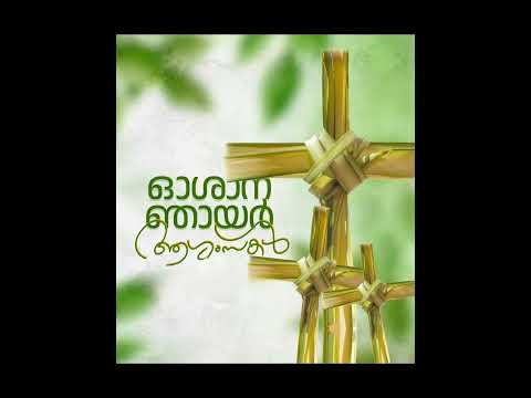 Palm Sunday / ഓശാന ഞായർ #palmsunday #oshana#blessed #lent #jesus #trending   #viral #trendingshorts