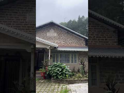 Takdah Tour #darjeeling #shorts #youtubeshorts