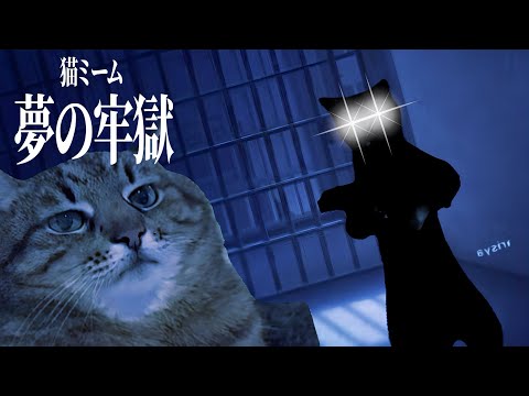 【猫ミーム】謎の牢獄から逃げ出す猫たちの物語 第8話