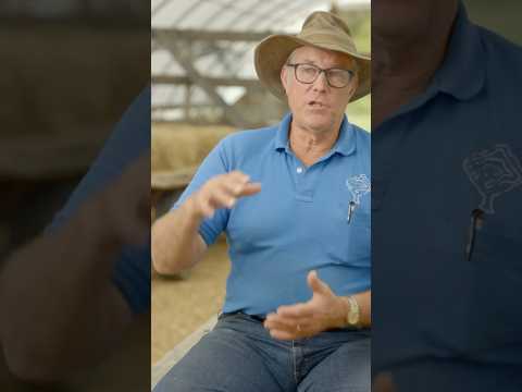 Joel Salatin on his Raised Bed Garden techniques influenced by John Moody & Paul Gautschi #gardening