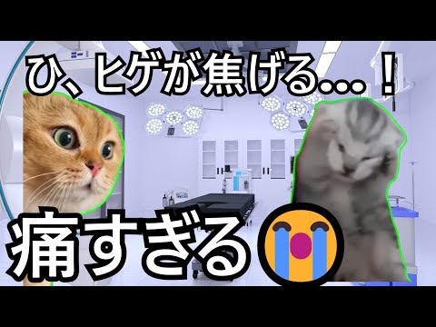 ヒゲ脱毛したら地獄を見た【猫ミーム】