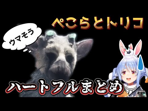 ３期生の非常食こと兎田ぺこらと肉食獣トリコの心温まる触れ合い集【ホロライブ切り抜き】