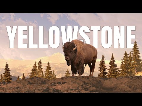 Yellowstone ATTRACTIONS | Travel Guide