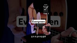 Evergreen - Richy Mitch & The Coal Miners | Guitar Tutorial #guitar #shorttutorial #tutorial