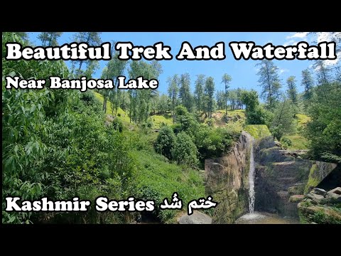 Soul Calming Jungle Trek || Beautiful Waterfall Near Banjosa Lake || #jungletrek #waterfall #travel