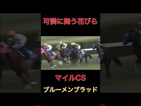 可憐に舞う花びらブルーメンブラッド【マイルCS】#競馬