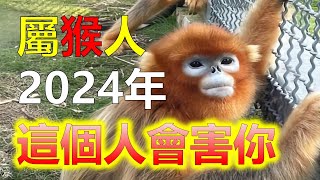 生肖猴2024年貴人纏身，屬猴的貴人是誰，2024年的到來，有些生肖猴會被好運籠罩，但有一些人可能會經歷挫折，對於生肖猴的朋友來說，在2024年，能夠被貴人纏身，2024生肖運勢，十二生肖（生肖）