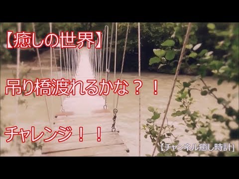 【癒しの世界】度胸試し？！・・吊り橋チャレンジ！！