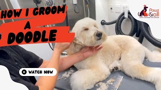 HOW I GROOM A DOODLE