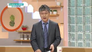 당뇨병 및 당뇨병 전단계 인구는? [무엇이든 물어보세요] 20190924