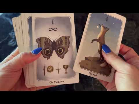 The Anima Mundi Tarot, 1-minute unboxing