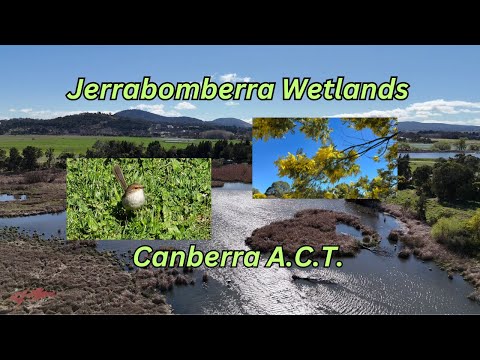 Jerrabomberra Wetlands Nature Reserve, Canberra A.C.T.