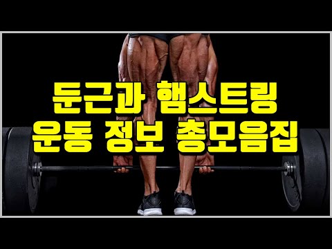 둔근, 햄스트링 발달을 위한 모든 것[데드리프트 완전 정복, 최고의 햄스트링 운동, 가장 추천 엉덩이 운동]