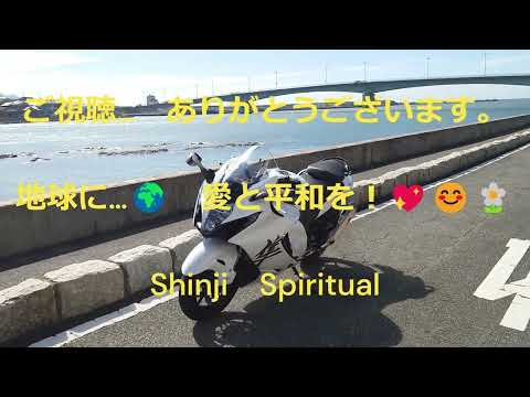 ＃新型隼＃ふるさと想い出ツーリング＃癒し動画#suzuki #hayabusa＃毎日が猫カフェ