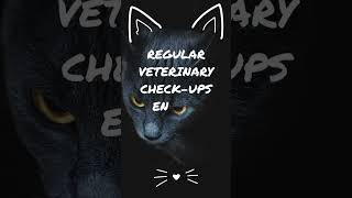 Unveiling the Importance of Regular Veterinary Check ups for Cat Health!