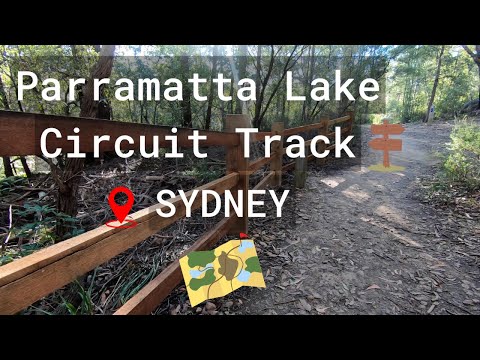 Exploring Parramatta Lake Circuit Track: Scenic Walk & Nature Adventure | 2024 Guide