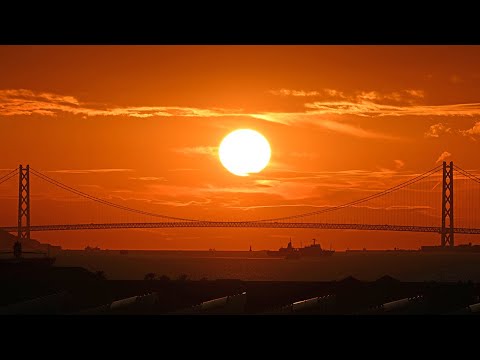 秋の夕日、主塔の間に　明石海峡大橋に期間限定の光景　神戸空港の展望デッキから遠望