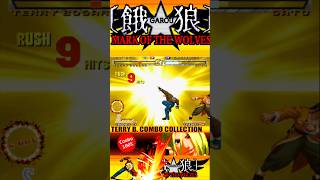 TERRY BOGARD Combo 100% Damage GAROU MOTW #garoumarkofthewolves