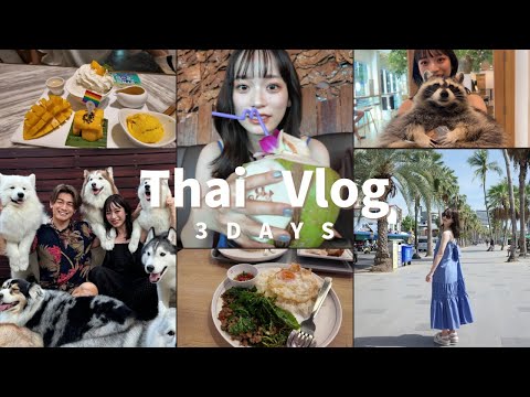 【タイVlog】タイ料理と動物に癒された夏の思い出☀️