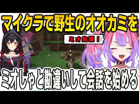 野生のオオカミをミオしゃだと思い込みガチで会話を始めるヴィヴィ【輪堂千速/FLOWGLOW/ホロライブ/マインクラフト/Minecraft /切り抜き】