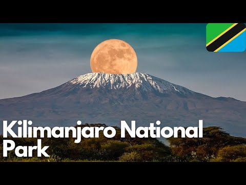 Exploring the Wonders of Kilimanjaro National Park