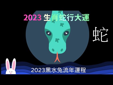 2023 生肖蛇行大運 事業亨通 2023 黑水兔年流年運程 屬蛇的運勢 健康聲譽 愛情貴人齊來