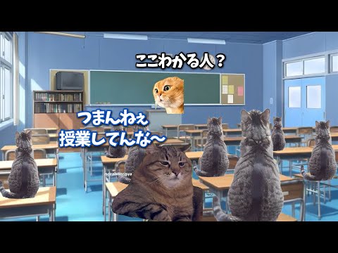 月曜日の朝から始まる憂鬱すぎる日常【猫ミーム】【猫マニ】