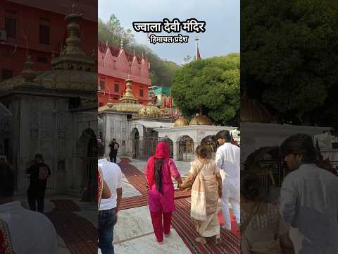 मां ज्वाला देवी का रहस्यमई मंदिर............. #shortsfeed #hindutemple #shorts #short #shortvideos