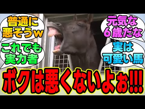 「ボクは悪い大帝じゃないよｗｗｗ」に対する競馬民の反応集