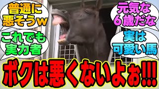 「ボクは悪い大帝じゃないよｗｗｗ」に対する競馬民の反応集