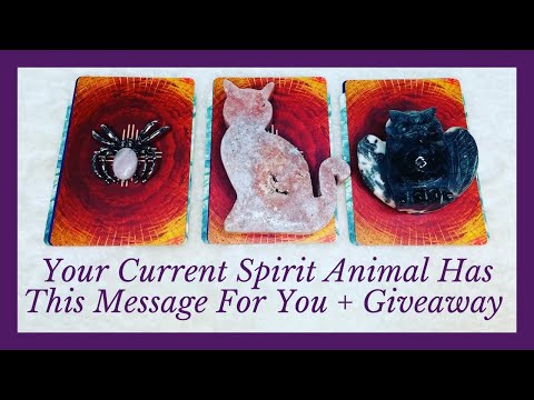 Your Current Spirit Animal & The Messages It Has For You 👀 Pick A Card + GIVEAWAY