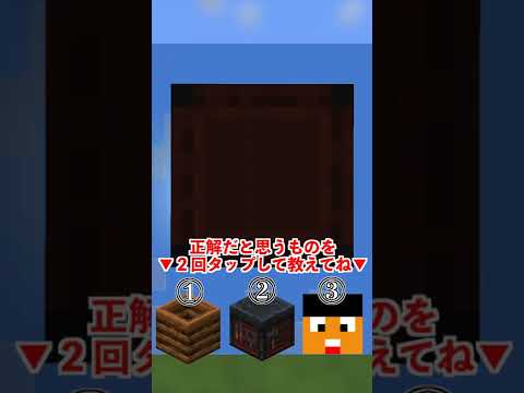 【マイクラ】このブロック何！？マインクラフトクイズ！！【マインクラフト・まいくら】【豆知識・裏技・小ネタ】#shorts