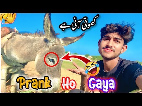 Aj mare Sath prank ho gaya 😂| very funny video 😅😂 |