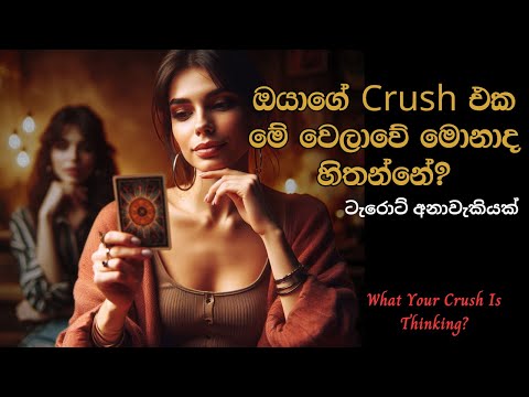 ඔයාගේ Crush එක මේ වෙලාවේ මොනාද හිතන්නේ?🫣❤️ Sinhala Tarot Reading🧿