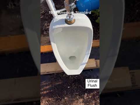 American standard urinal flush valve system #plumbing #sanitaryware #engineering #shorts