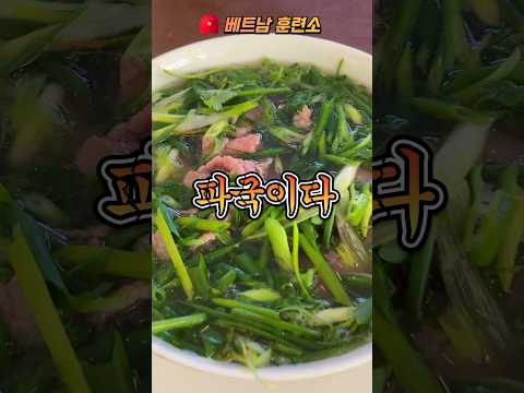 베트남 다낭 쌀국수 맛집 퍼틴 후기 #다낭여행 #베트남여행 #맛집 #쌀국수