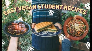 🌯 easy peasy VEGAN STUDENT RECIPES 🌯 inc. simplest (yet tastiest) snickers slice