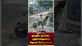 Dogs chased a boy | #shorts | #dogs | #kerala | #puthiyathalaimuraitv | #escape | #dogchase