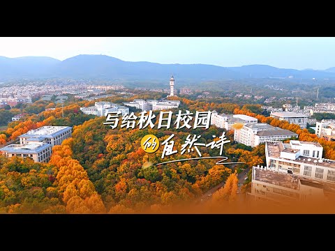 南京工业大学的秋景上大分了